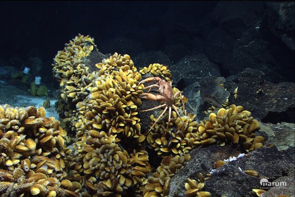 deep sea mining
