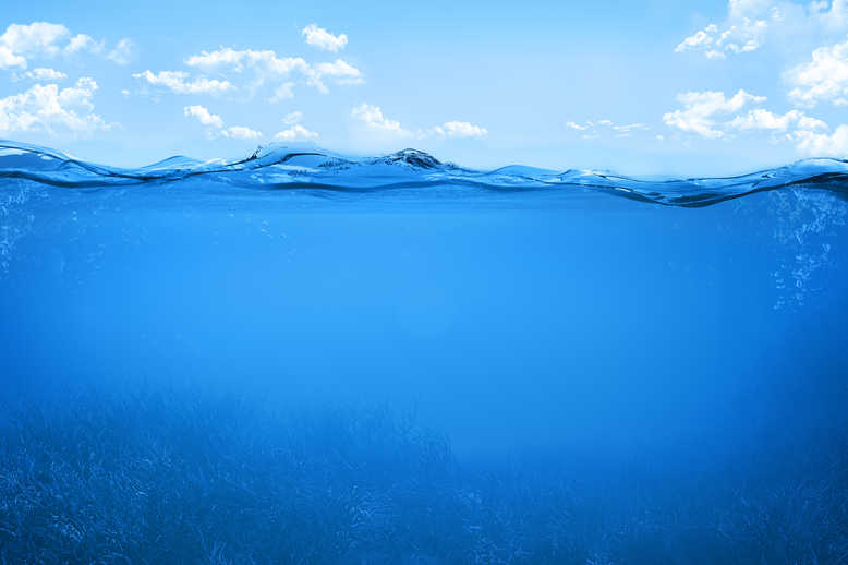 New Zealand Seabed Mining
