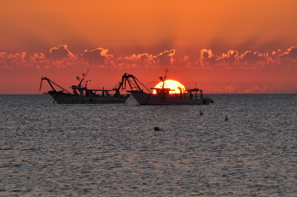 high seas treaty