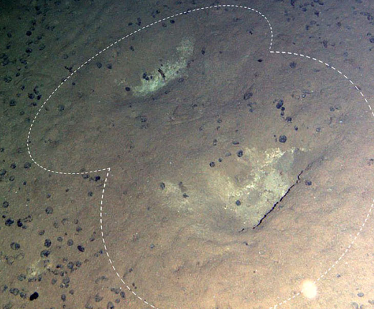 Whale grooves on the sea floor.