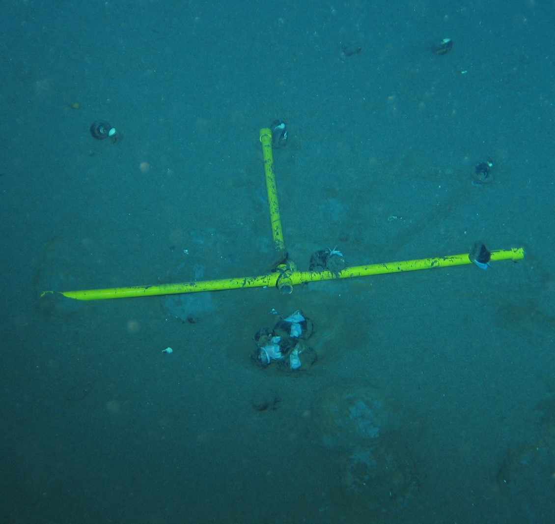 A snail relocation experiment near Solwara I. Photo courtesy Nautilus Minerals.